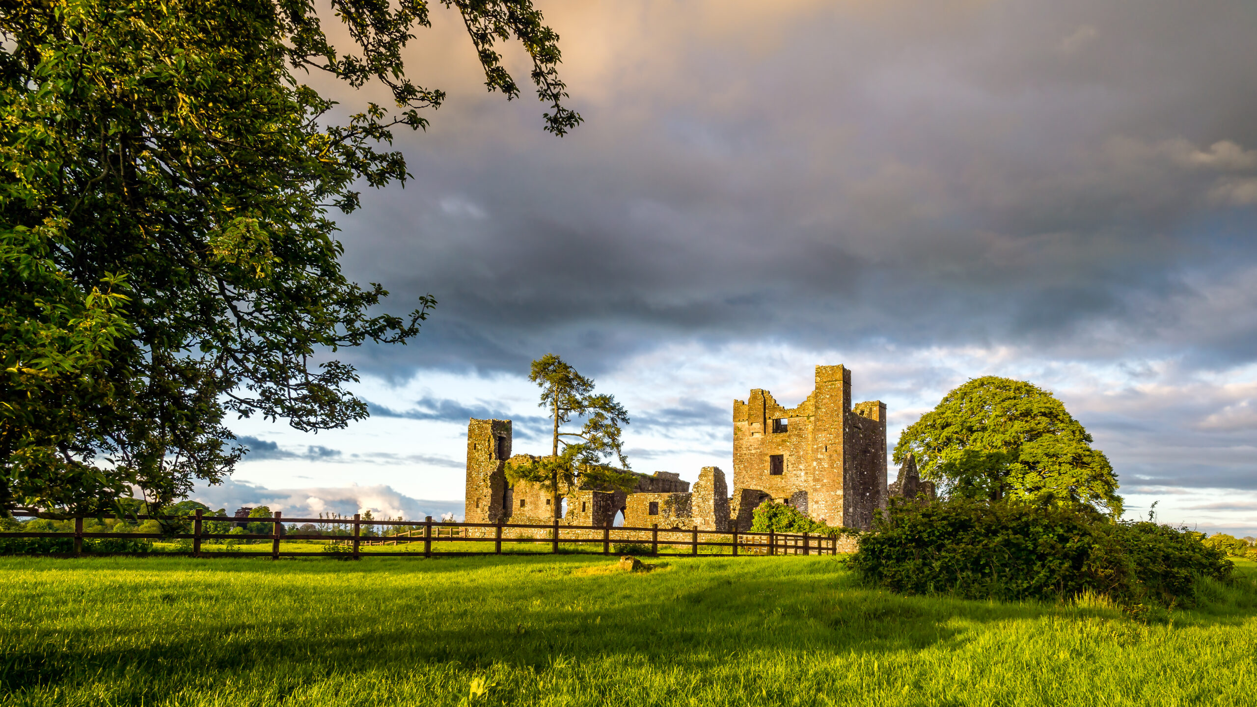 Bective Abbey