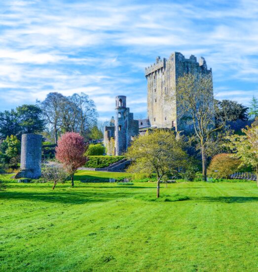 The Blarney Castle Tour