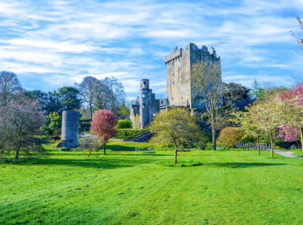 The Blarney Castle Tour