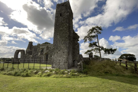 gallery-bective-abbey-2