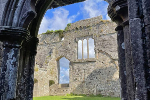 gallery-bective-abbey