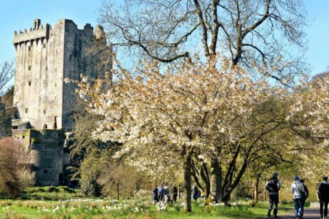 gallery-blarney-castle-co