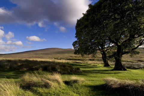 gallery-wicklow-mountains