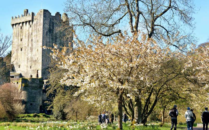 visit-blarney-castle-&-gardens